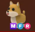 Shiba Inu MFR