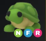Turtle NFR