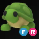Turtle FR