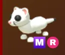 Ermine MR