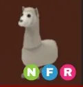 Llama NFR