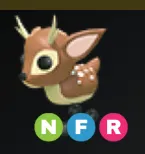 Fallow Deer NFR