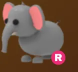 Elephant R