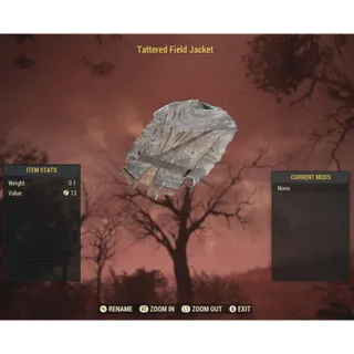 Tattered Field Jacket