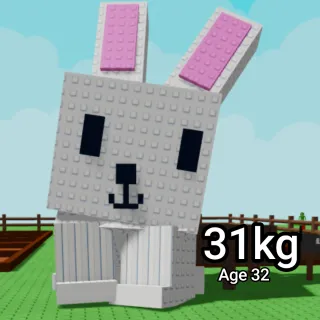 TITANIC BUNNY 31KG GROW A GARDEN