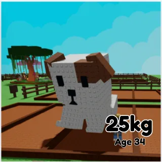 HUGE DOG 25KG GROW A GARDEN