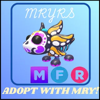 MFR SUGAR AXOLOTL