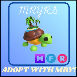 MFR TORTUGA DE LA ISLA