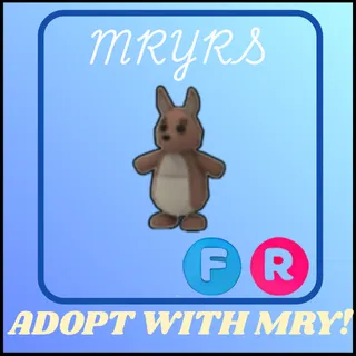 FR KANGAROO