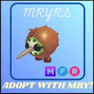 MFR KIWI KIWI
