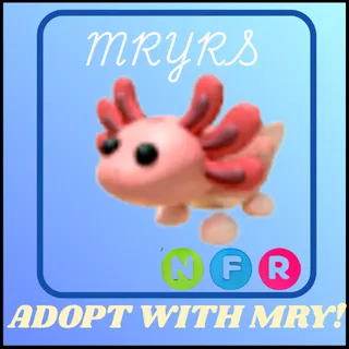 NFR AXOLOTL