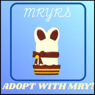 CHOCOLATE BUNNY BOX 100X