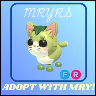 FR MATCHA CAT 