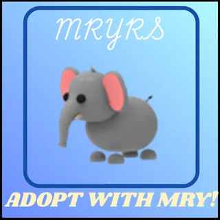 ELEPHANT