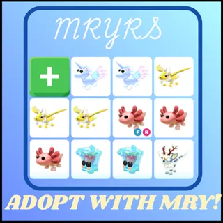 ADOPT ME BUNDLE