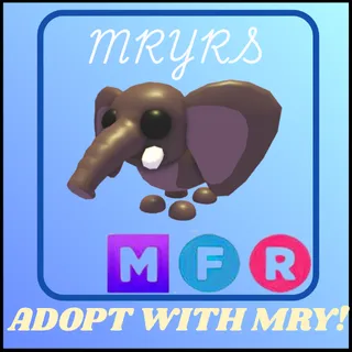 MFR BUSH ELEPHANT