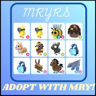 ADOPT ME BUNDLE