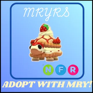 NFR STRAWBERRY TORTLE