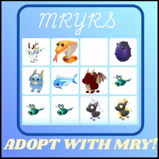 ADOPT ME BUNDLE