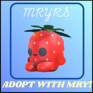 STRAWBERRY PLUSHIE RIDER