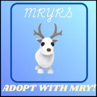 ARCTIC REINDEER 