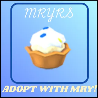 2022 BIRTHDAY CUPCAKE SHOES 