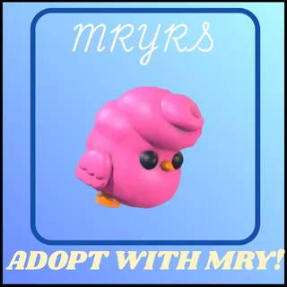 CANDYFLOSS CHICK