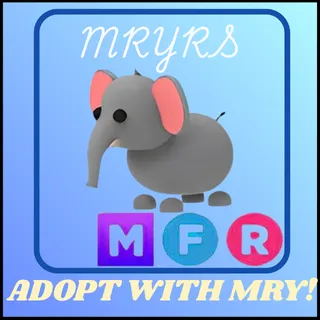 MFR ELEPHANT 