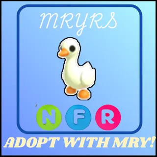 NFR GOOSE