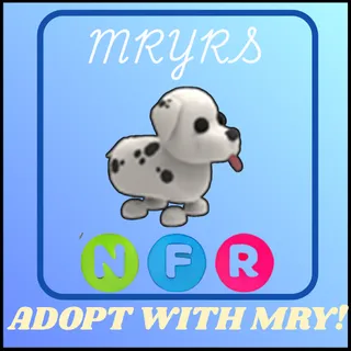 NFR DALMATIAN