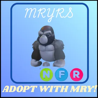 NFR SILVERBACK GORILLA