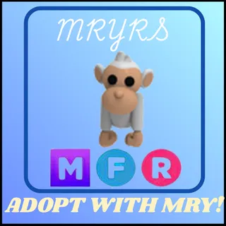 MFR ALBINO MONKEY 