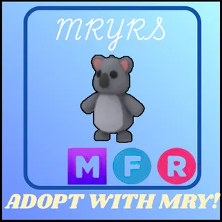 MFR KOALA