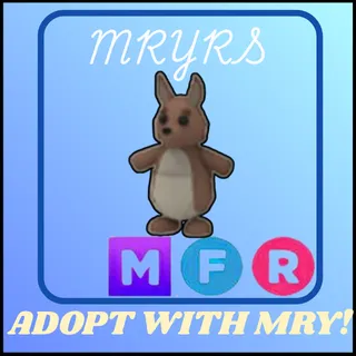 MFR KANGAROO 