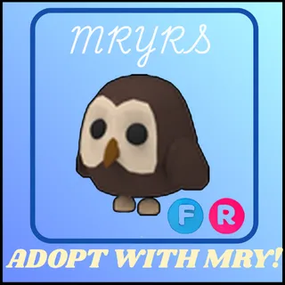 FR OWL