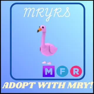MFR FLAMINGO