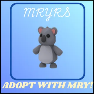 KOALA 16X