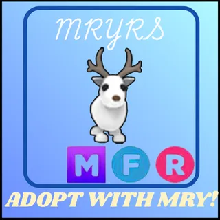 MFR ARCTIC REINDEER