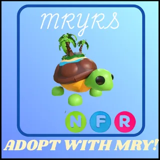 NFR TORTUGA DE LA ISLA
