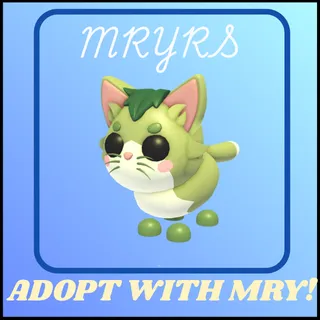 MATCHA CAT 4X