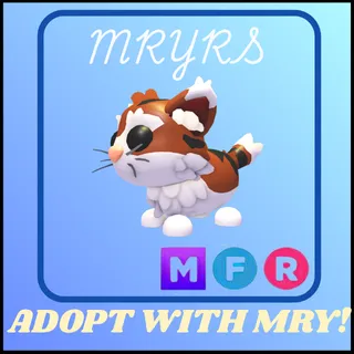 MFR MUNCHKIN CAT