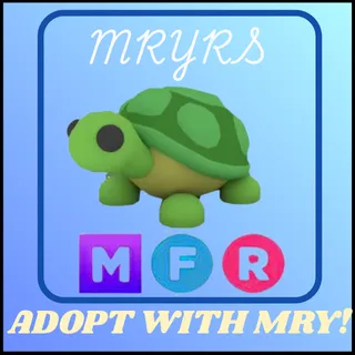 MFR TURTLE