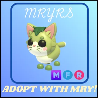 MFR MATCHA CAT 