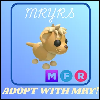MFR LION CUB