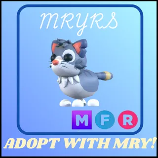 MFR ALLEY CAT