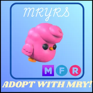 MFR CANDYFLOSS CHICK