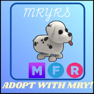 MFR DALMATIAN 
