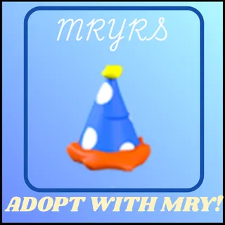 2022 BIRTHDAY PARTY HAT