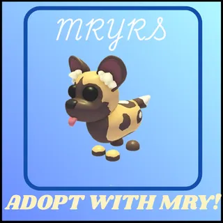 AFRICAN WILD DOG
