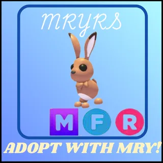 MFR HARE